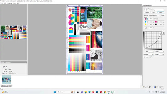 Screenshot of the ACRORIP 10.5 interface showing color management tools, white ink controls, and print layout options for DTF and DTG printing.
