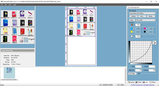 Acrorip v11.2 software interface showing DTF and DTG color controls